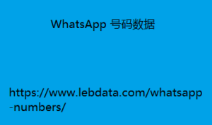 WhatsApp 号码数据